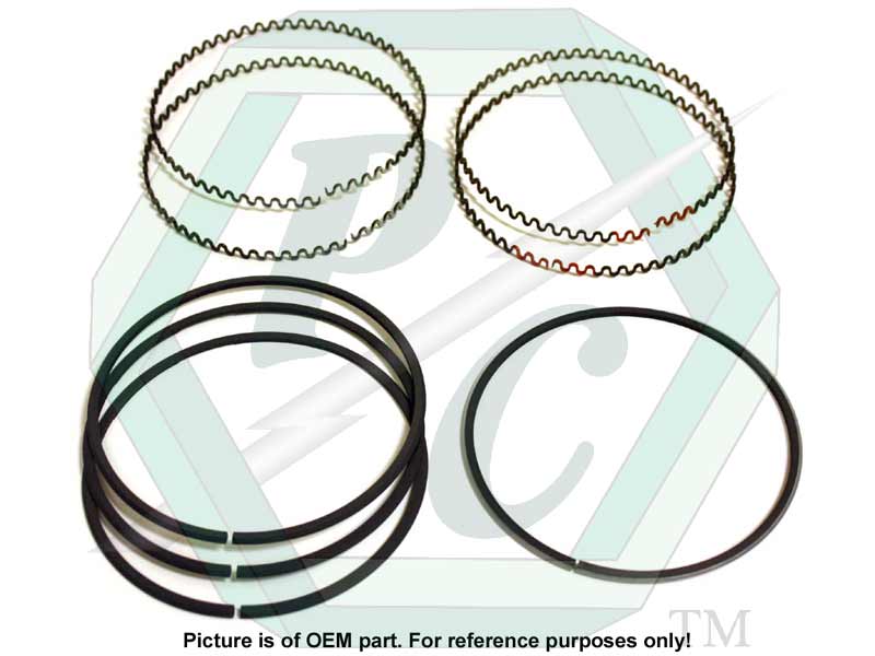 Oil Control Ring Set