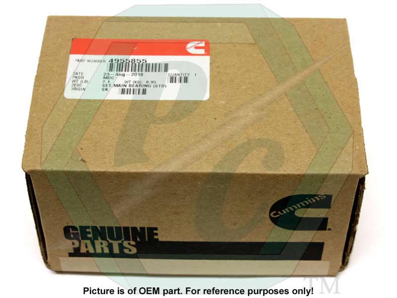 4955855_Shell-Set_L2