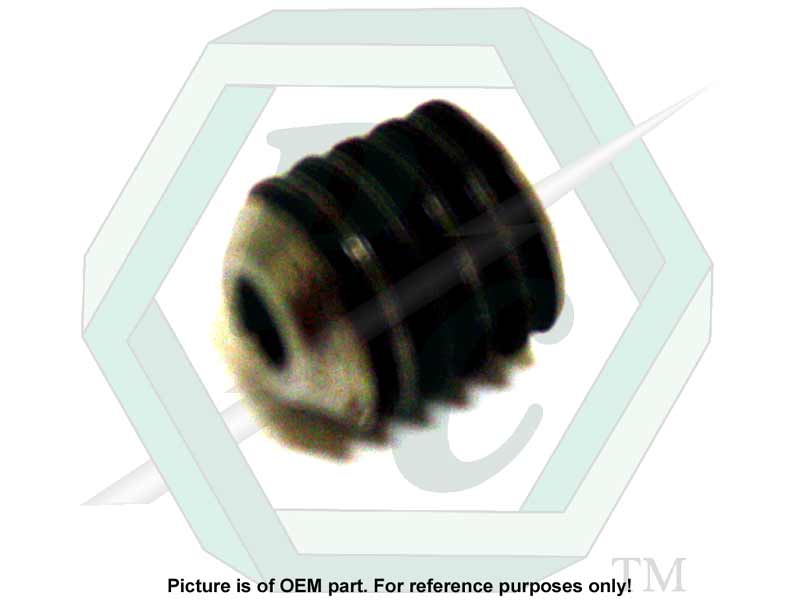 Socket Set Screw