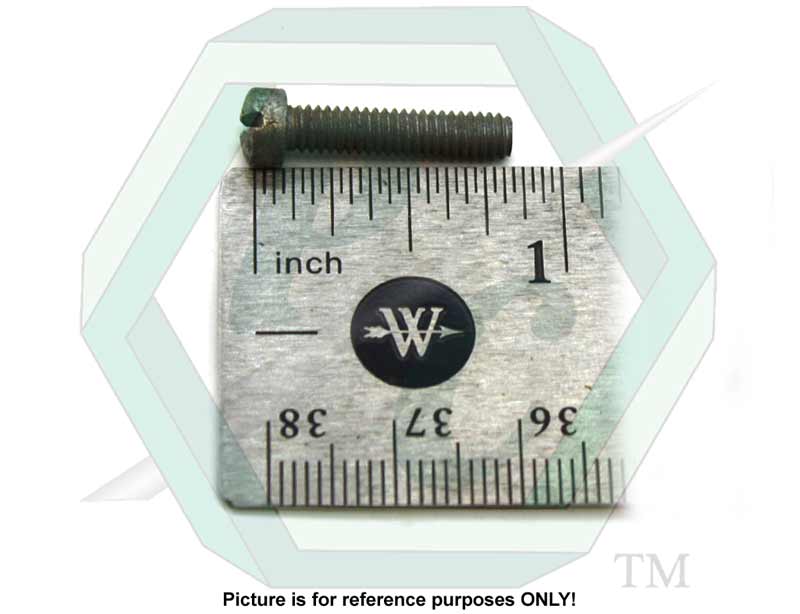 131979_Screw_L1