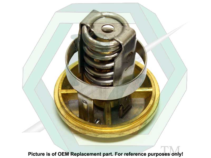 Thermostat, 173 Deg. w/Choke & Shield