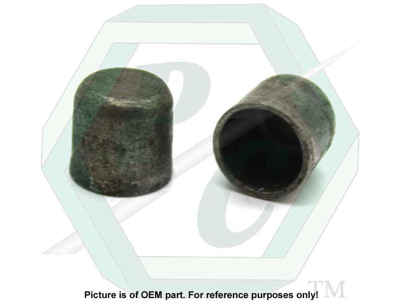 Cylinder Cup Plug 5/16