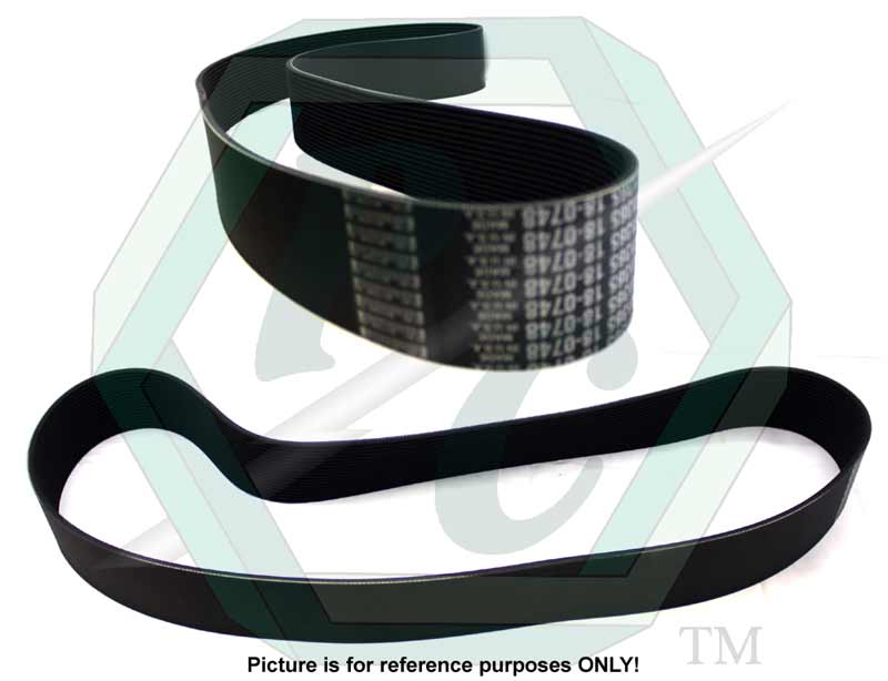5141365_Belt_L1